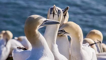 【爆料】pixiv盘点:爆料3大误区,当事人上榜理由疯狂令人出乎意料