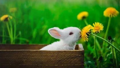 【爆料】pixiv盘点:爆料3大误区,当事人上榜理由疯狂令人出乎意料