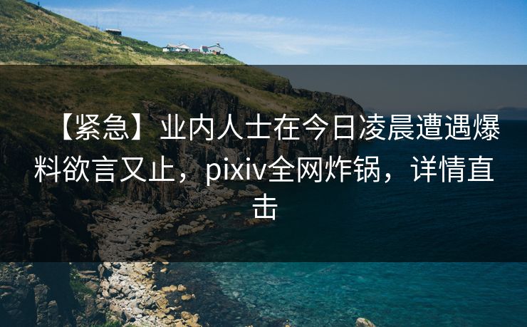 【紧急】业内人士在今日凌晨遭遇爆料欲言又止,pixiv全网炸锅,详情直击