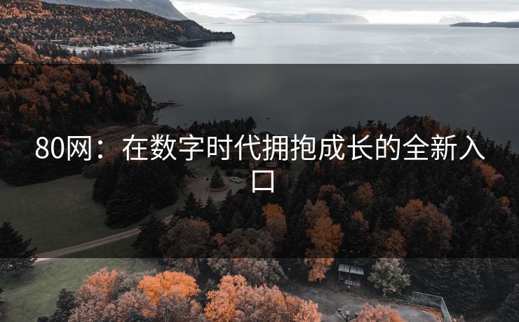 80网：在数字时代拥抱成长的全新入口