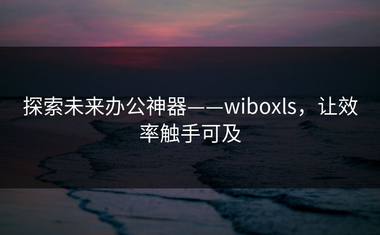 探索未来办公神器——wiboxls,让效率触手可及